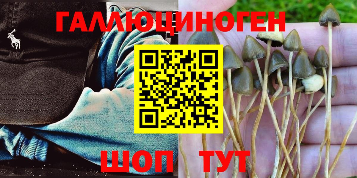где продают наркотики  Псилоцибиновые грибы MAGIC MUSHROOMS  Вход с VPN  Ивантеевка 